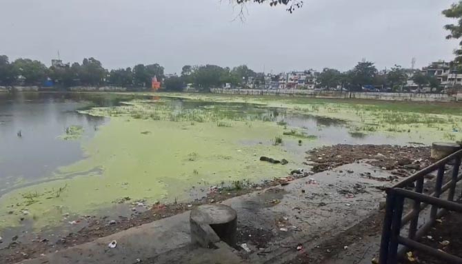 1753450398 Untitled 4 copy